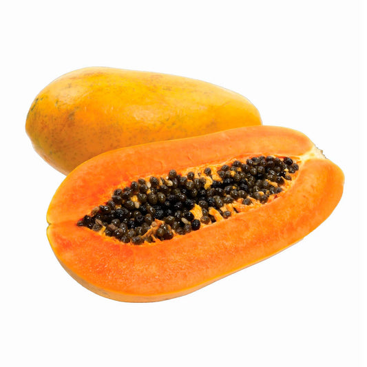 PAPAYA MARADOL X LIBRA