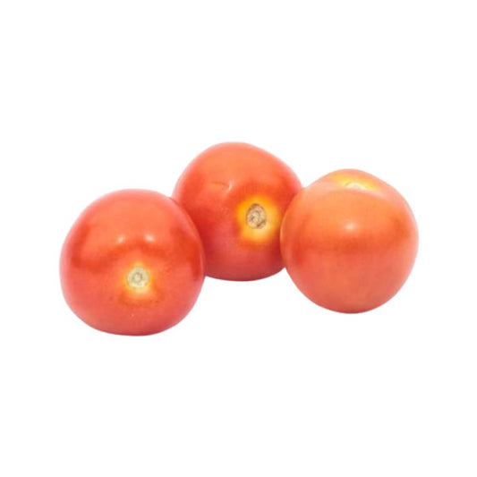 TOMATE CHONTO X LIBRA