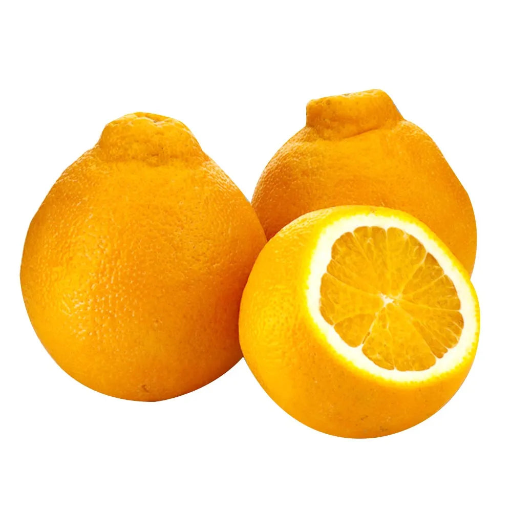 NARANJA TANGELO X LIBRA